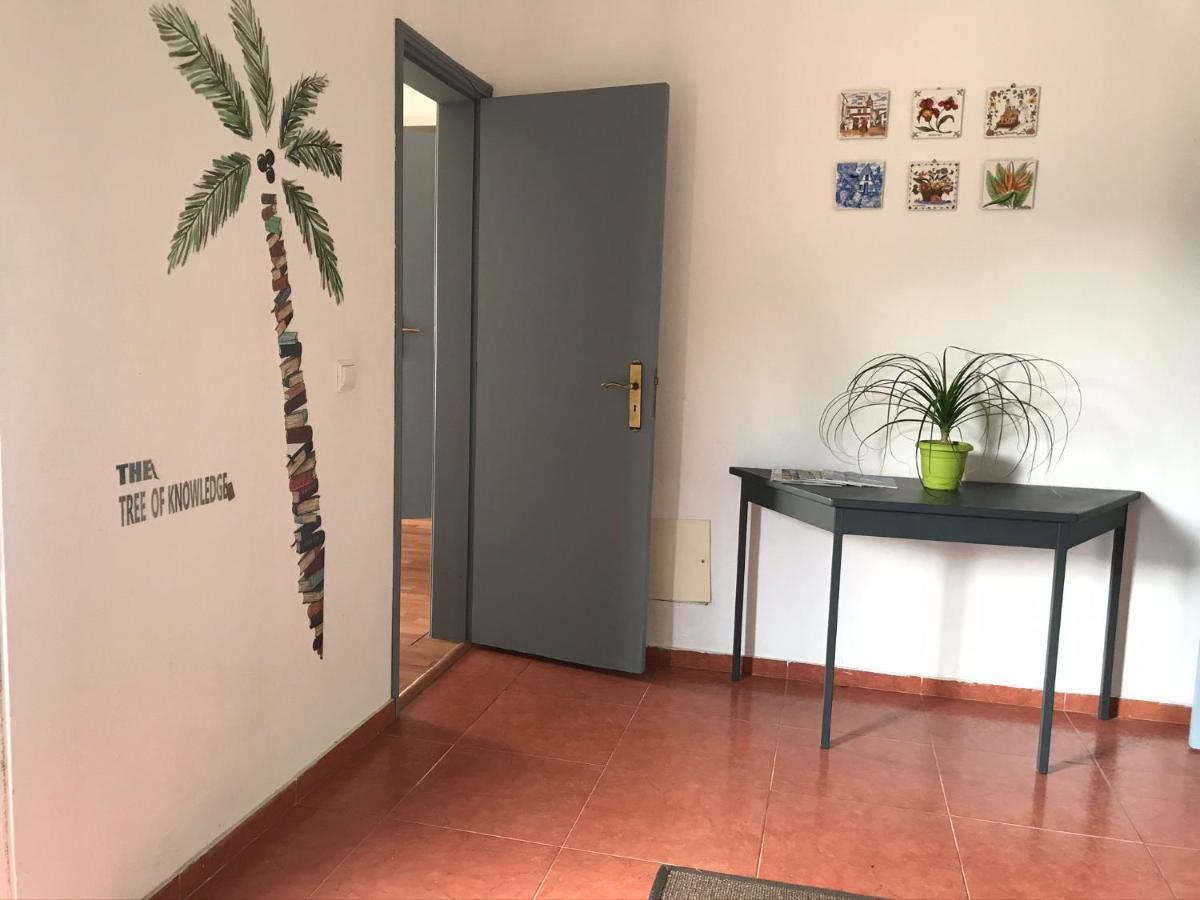 Casa Vista Do Ledo Villa Arco da Calheta  Eksteriør bilde